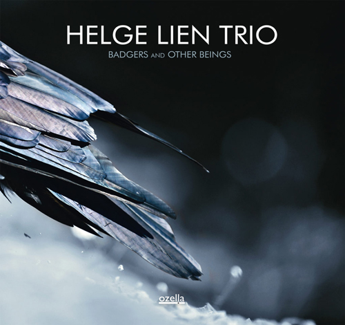 HELGE LIEN TRIO - badgers and other beings